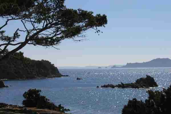 View of Porquerolles island (near Toulon)