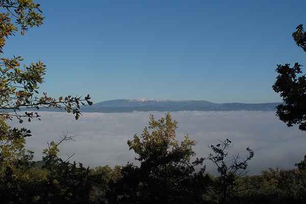 Mont Ventoux (Provence's highest peak)